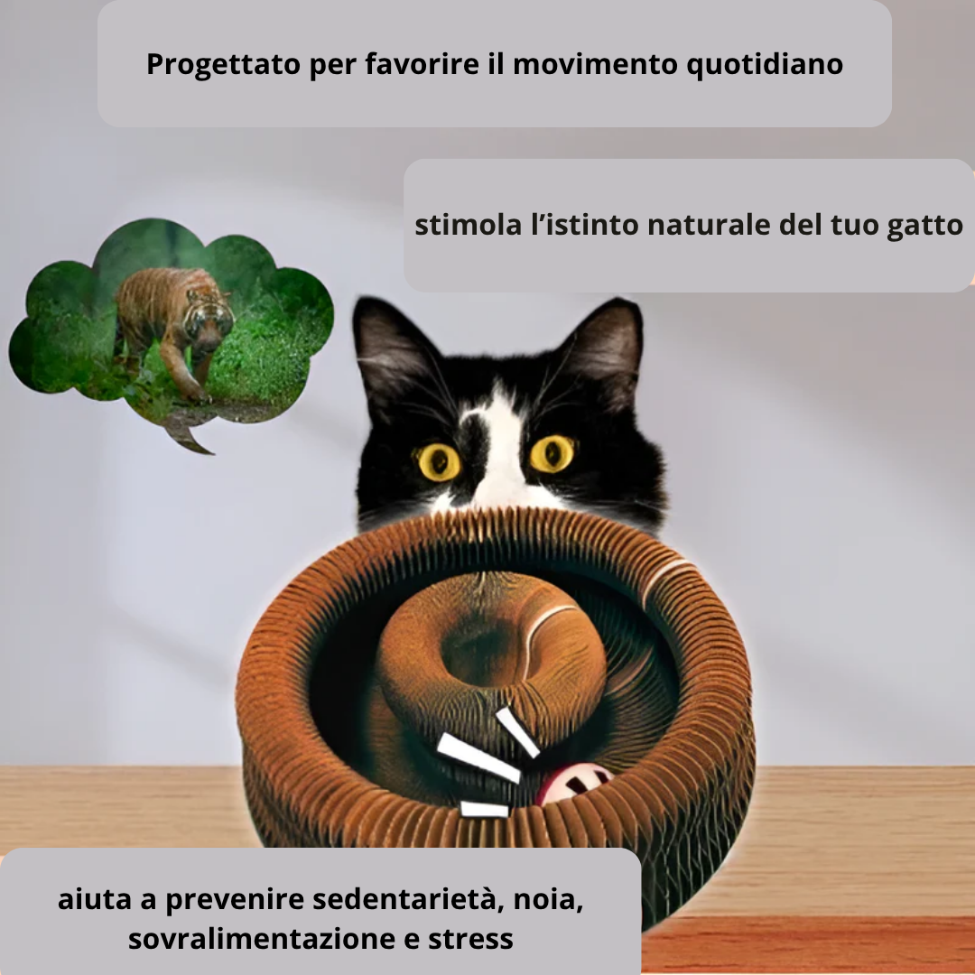 CatTwist Lab – Giocattolo Interattivo per gatti