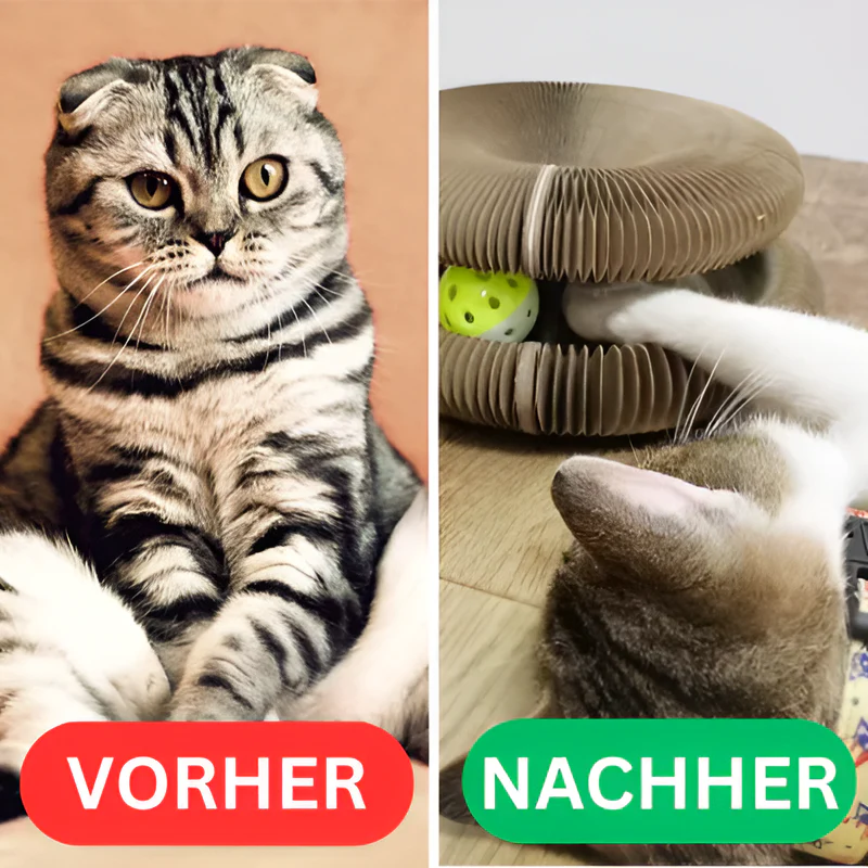 CatTwist Lab – Giocattolo Interattivo per gatti